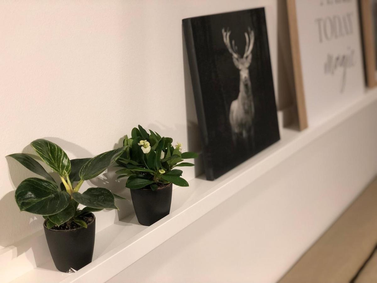 Apartment Ruhrnatur „modern Trifft Gemuetlichkeit“ Muelheim an der Ruhr